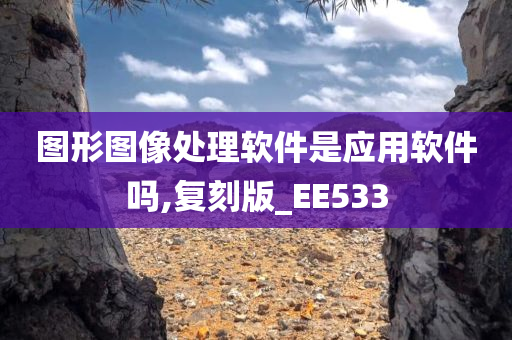 图形图像处理软件是应用软件吗,复刻版_EE533