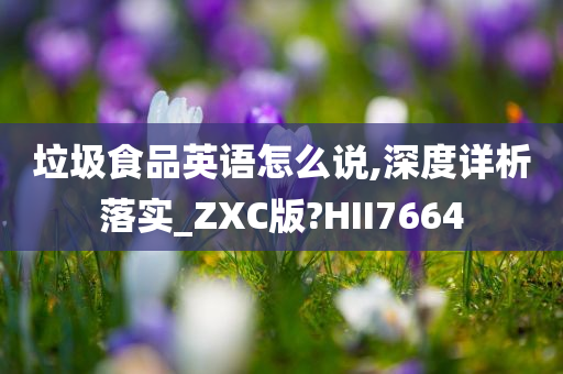 垃圾食品英语怎么说,深度详析落实_ZXC版?HII7664