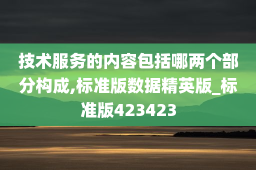 技术服务的内容包括哪两个部分构成,标准版数据精英版_标准版423423