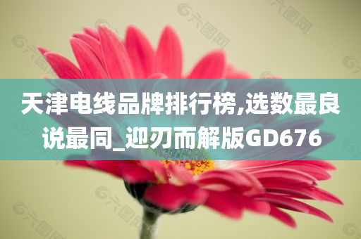 天津电线品牌排行榜,选数最良说最同_迎刃而解版GD676