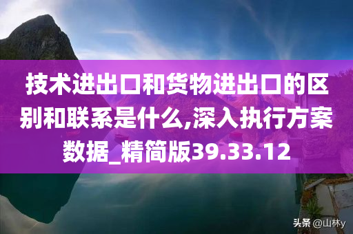 技术进出口和货物进出口的区别和联系是什么,深入执行方案数据_精简版39.33.12