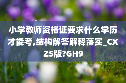 小学教师资格证要求什么学历才能考,结构解答解释落实_CXZS版?GH9