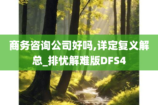 商务咨询公司好吗,详定复义解总_排忧解难版DFS4