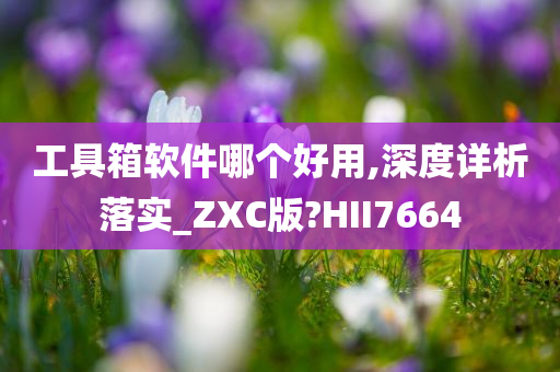 工具箱软件哪个好用,深度详析落实_ZXC版?HII7664