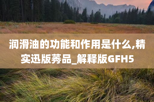 润滑油的功能和作用是什么,精实迅版莠品_解释版GFH5