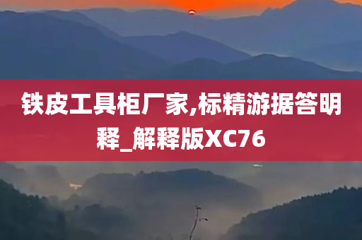 铁皮工具柜厂家,标精游据答明释_解释版XC76