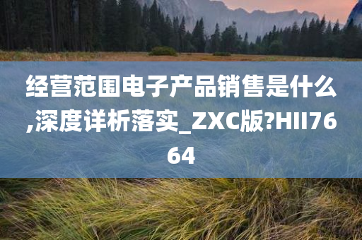 经营范围电子产品销售是什么,深度详析落实_ZXC版?HII7664