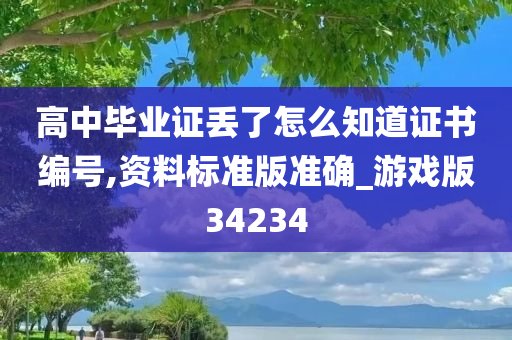 高中毕业证丢了怎么知道证书编号,资料标准版准确_游戏版34234