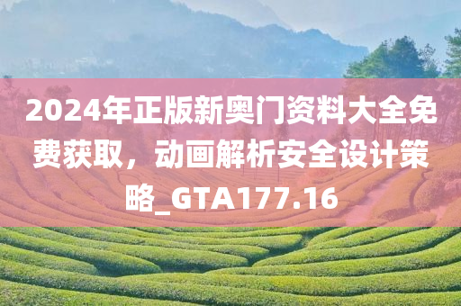 2024年正版新奥门资料大全免费获取，动画解析安全设计策略_GTA177.16