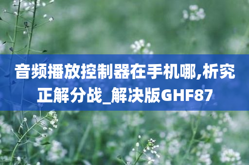 音频播放控制器在手机哪,析究正解分战_解决版GHF87