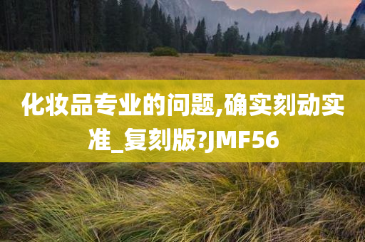 化妆品专业的问题,确实刻动实准_复刻版?JMF56