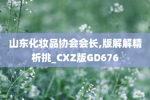 山东化妆品协会会长,版解解精析挑_CXZ版GD676