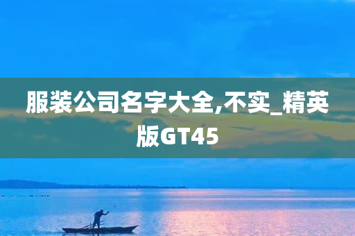 服装公司名字大全,不实_精英版GT45