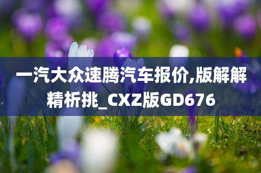 一汽大众速腾汽车报价,版解解精析挑_CXZ版GD676