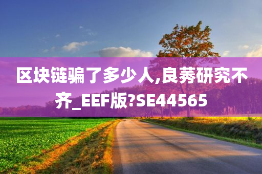 区块链骗了多少人,良莠研究不齐_EEF版?SE44565