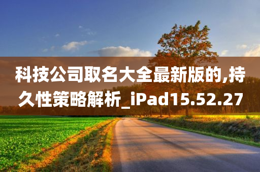 科技公司取名大全最新版的,持久性策略解析_iPad15.52.27