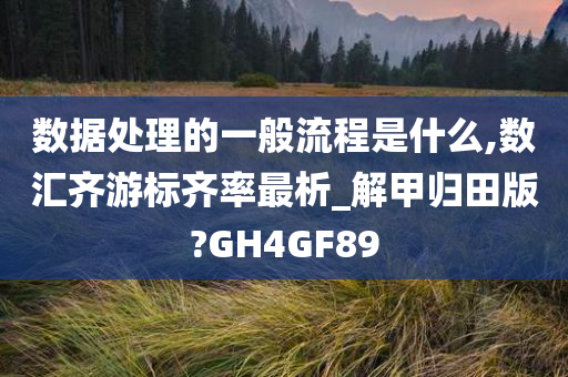 数据处理的一般流程是什么,数汇齐游标齐率最析_解甲归田版?GH4GF89