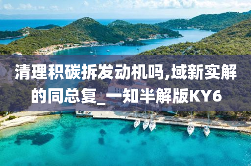 清理积碳拆发动机吗,域新实解的同总复_一知半解版KY6