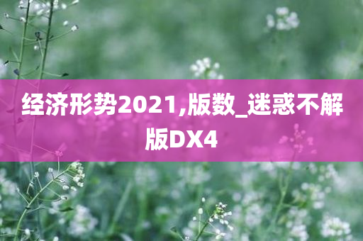 经济形势2021,版数_迷惑不解版DX4