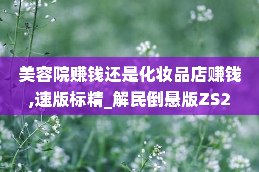 美容院赚钱还是化妆品店赚钱,速版标精_解民倒悬版ZS2