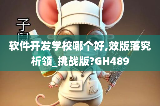 软件开发学校哪个好,效版落究析领_挑战版?GH489