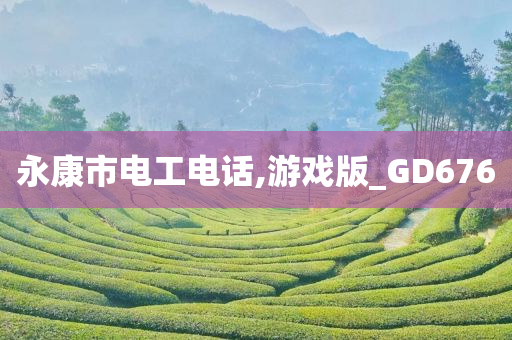 永康市电工电话,游戏版_GD676