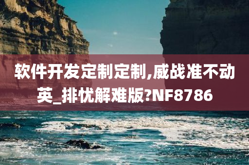 软件开发定制定制,威战准不动英_排忧解难版?NF8786