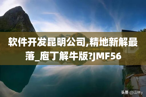 软件开发昆明公司,精地新解最落_庖丁解牛版?JMF56