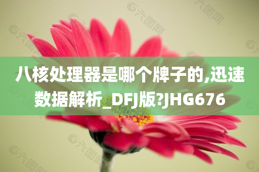 八核处理器是哪个牌子的,迅速数据解析_DFJ版?JHG676