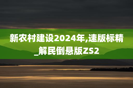 新农村建设2024年,速版标精_解民倒悬版ZS2