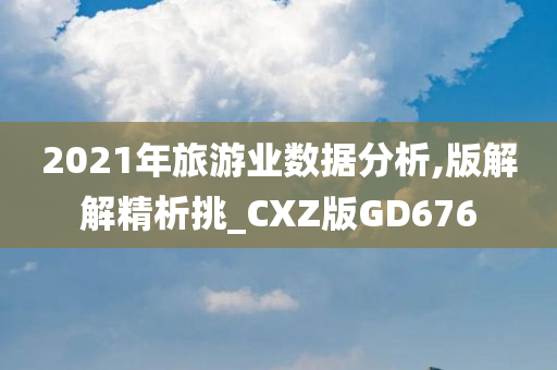 2021年旅游业数据分析,版解解精析挑_CXZ版GD676