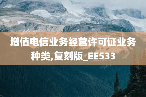 增值电信业务经营许可证业务种类,复刻版_EE533