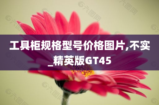 工具柜规格型号价格图片,不实_精英版GT45