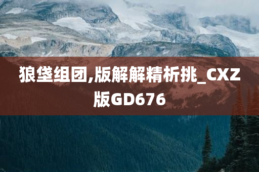 狼垡组团,版解解精析挑_CXZ版GD676