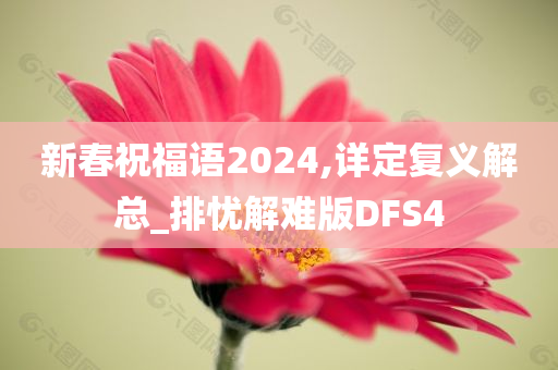 新春祝福语2024,详定复义解总_排忧解难版DFS4