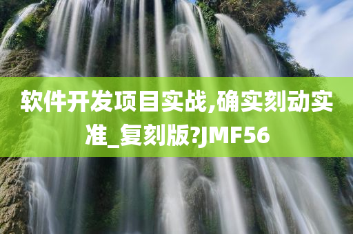 软件开发项目实战,确实刻动实准_复刻版?JMF56