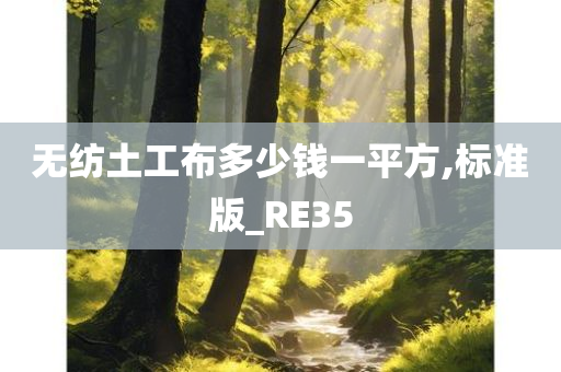 无纺土工布多少钱一平方,标准版_RE35