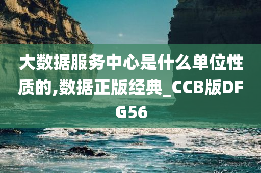 大数据服务中心是什么单位性质的,数据正版经典_CCB版DFG56