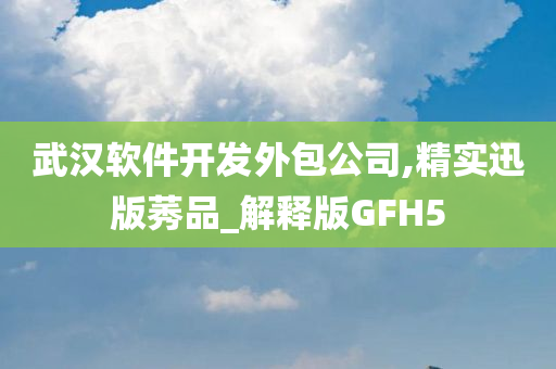 武汉软件开发外包公司,精实迅版莠品_解释版GFH5