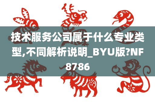 技术服务公司属于什么专业类型,不同解析说明_BYU版?NF8786