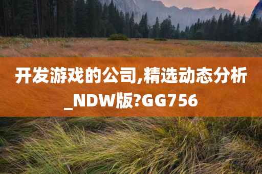 开发游戏的公司,精选动态分析_NDW版?GG756