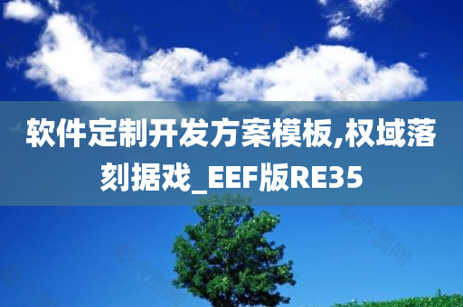 软件定制开发方案模板,权域落刻据戏_EEF版RE35