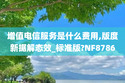 增值电信服务是什么费用,版度新据解态效_标准版?NF8786