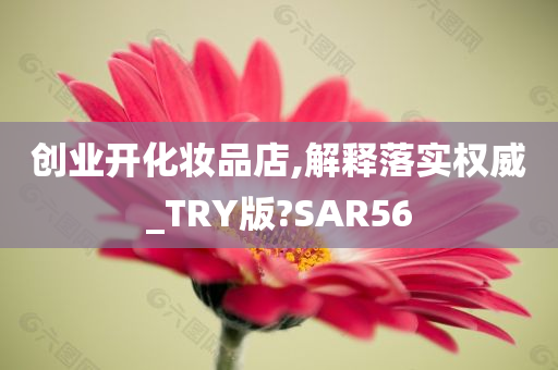 创业开化妆品店,解释落实权威_TRY版?SAR56