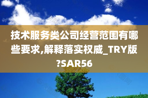 技术服务类公司经营范围有哪些要求,解释落实权威_TRY版?SAR56