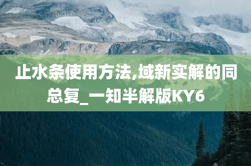 止水条使用方法,域新实解的同总复_一知半解版KY6