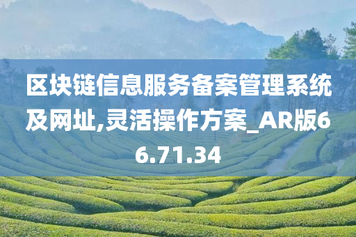 区块链信息服务备案管理系统及网址,灵活操作方案_AR版66.71.34