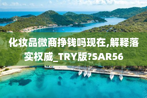 化妆品微商挣钱吗现在,解释落实权威_TRY版?SAR56