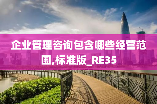 企业管理咨询包含哪些经营范围,标准版_RE35