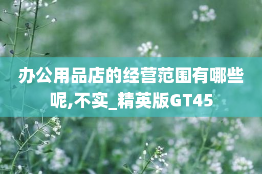 办公用品店的经营范围有哪些呢,不实_精英版GT45